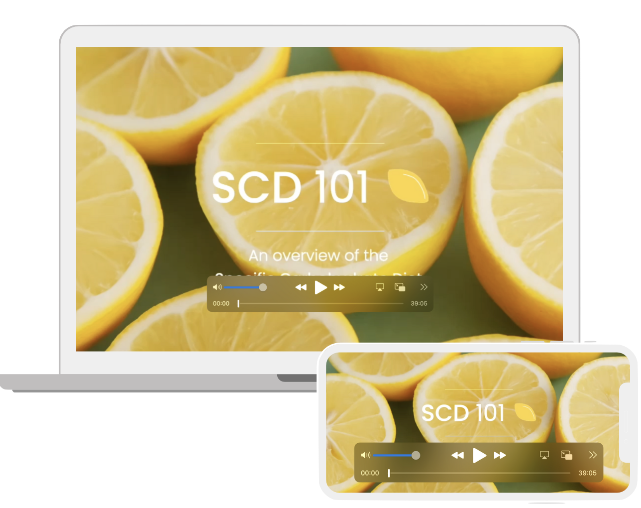 Overview of the specific carbohydrate diet (SCD). SCD recipes, paleo recipes, grain-free, dairy-free, refined sugar-free.